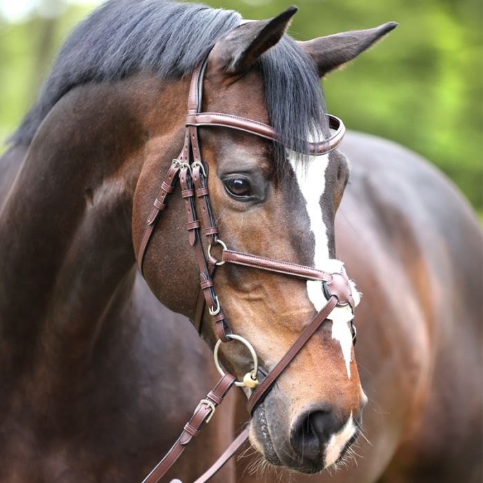 Ogłowie Proline-Diego Kavalkade - Cavalo